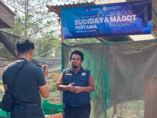TEP 15 IPB University Dorong Pemanfaatan Maggot BSF untuk Pakan Lele di Kurik