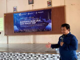 TEP 15 IPB Perkenalkan Maggot BSF sebagai Alternatif Pakan dalam Budidaya Lele di Merauke